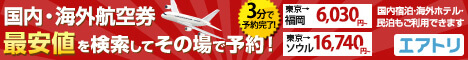国内航空券エアーズゲート